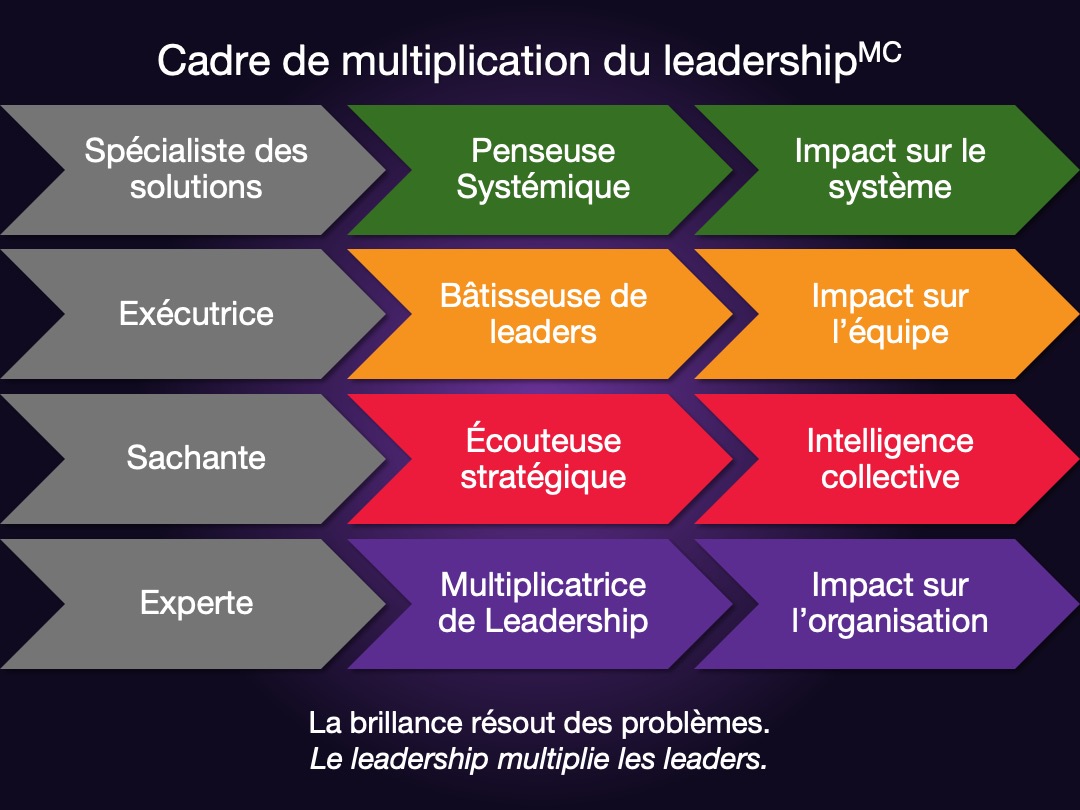 Les transformations du cadre de multiplication du leadership